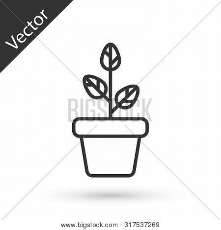 Grey Flowers In Pot Icon Isolated On White Background. Plant Growing In A Pot. Potted Plant Sign. Ve