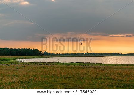 Population Of Wild Geese At Scenic Guelper See (havelaue) In Brandenburg, Germany At Sunset