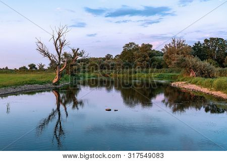 Wetlands Of The River Havel Near Guelpe, Havelaue, Brandenburg, Germany With Reflections Of Several 