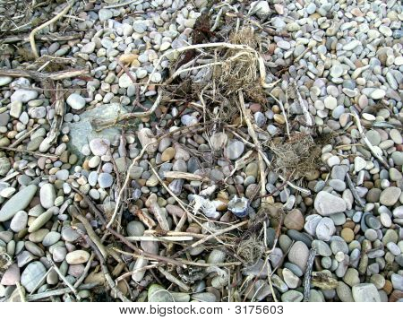 Beach Pebbles And Flotsam