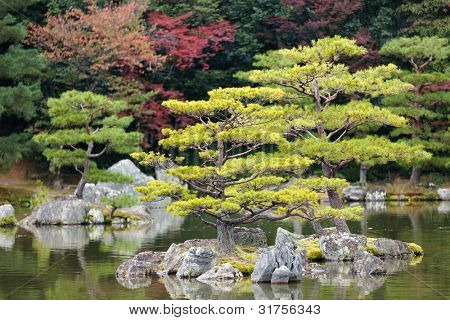 สวนเซนญี่ปุ่นในอุทยานวัด kinkakuji เกียวโต
