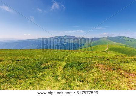 Wonderful Summer Mountain Landscape. Beautiful Green Sunny Scenery. Path Through Grassy Meadow On Ro