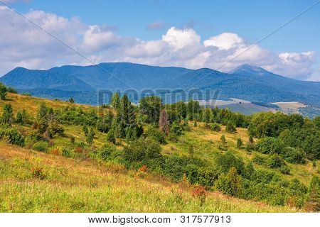 Wonderful Autumn Mountain Landscape. Pikui Peak Of Watershed Ridge Beneath Clouds. Trees On Grassy R