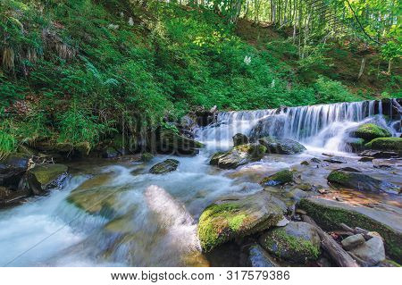 Forest Stream With Cascade And Mossy Rocks. Beautiful Summer Scenery On Sunny Morning. Long Exposure