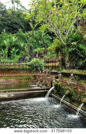 Sacred Spring At The Gunung Kawi Sebatu Temple, Ubud, Bali, Indonesia.