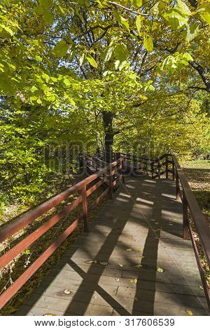 Well-maintained Pedestrian Walkway. Sunny Day In October. Landscape Reserve Teply Stan, Moscow, Russ