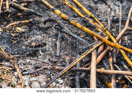 Black Charred Coal Of Scanting Of An Extinct Fire