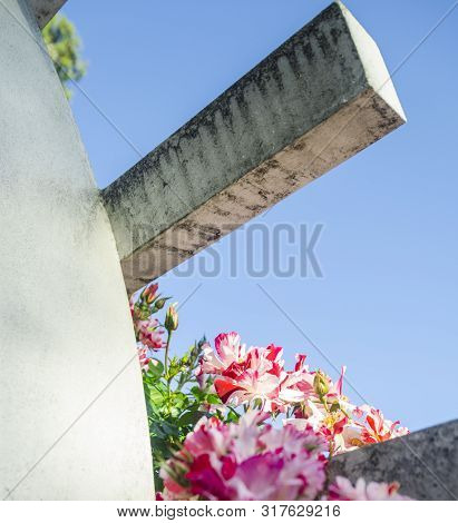 The Flattery Of Concrete By Red Roses On A Hot Summer Day.