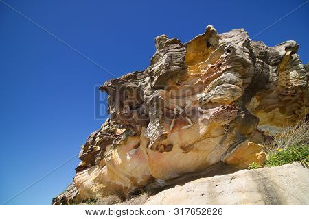 Rock Strata On Bondi To Coogee Walk New South Wales Australia