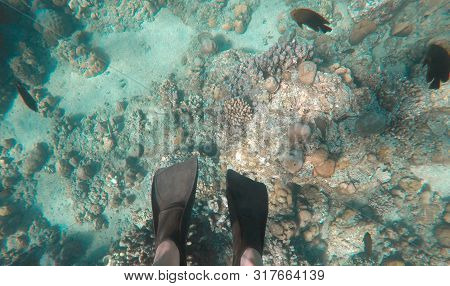 Legs with swimming flipper in sea. Snorkeling scuba diving equipment. Beach concept.  Underwater scene. Tropical island and under water world. Ecosystem ocean scenery. Summer vacations. Beautiful view