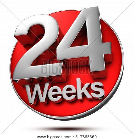 24 Weeks 3d Rendering On White Background.(with Clipping Path).