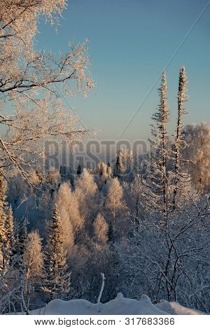 Russia. The South Of Western Siberia. Sunny Winter Day In Mountain Shoria.