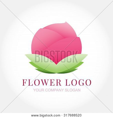 Pink Lotus Flower Logo Creative Design Isolated On White And Gray Gardient Background