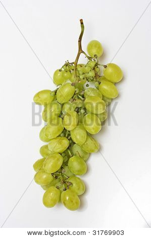 พวงขององุ่นบนหน้าพื้นหลังสีขาว