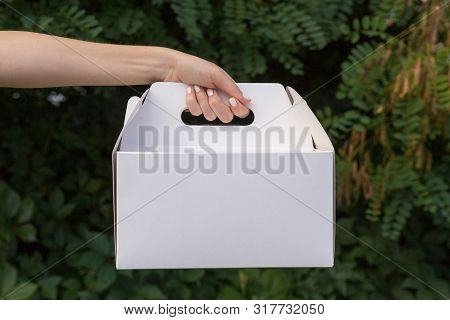 Receiving Package Of Baking Mock Up. Close Up Female Holds In Hand Cake Dessert In Unmarked Clear Em
