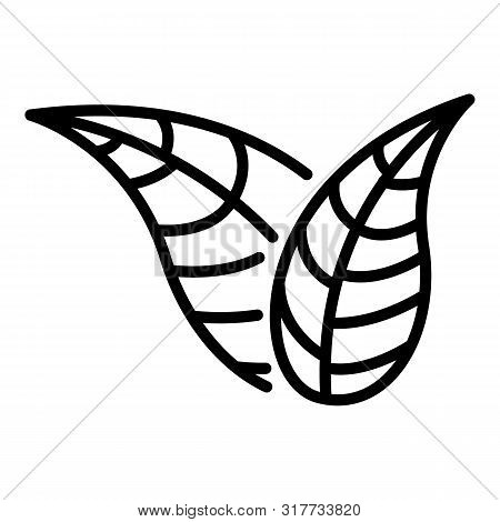 Two Pointed Leaves Icon. Outline Two Pointed Leavestwo Pointed Leaves Vector Icon For Web Design Iso