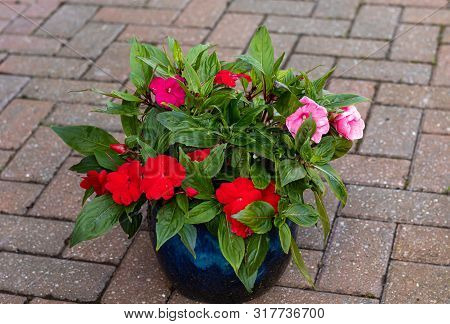 A Blue Glazed Patio Pot Full Of Assorted Colourful Impatiens