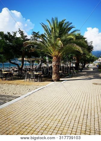 Mediterranean Beach With Tavern Terrace And Palms