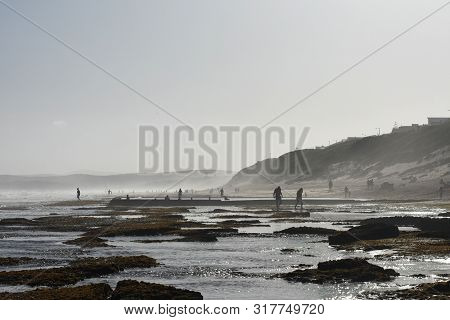 Mossy Coastal Rock Pools On Summer Day, Mossel Bay, South Africa