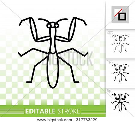 Mantis Thin Line Icon. Outline Black Web Sign Of Insect. Bug Linear Pictogram With Different Stroke 