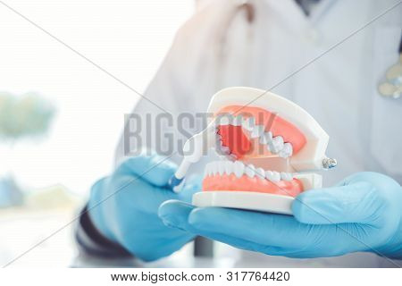Dentist Learning How To Brush Teeth
