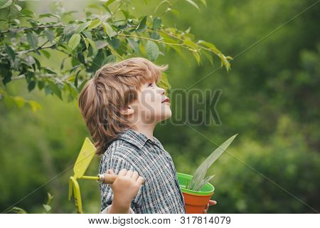 Garden. Boy With A Garden Tool. Nature. Ecology. Natural Products From The Garden. Harvest. Autumn W