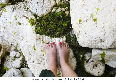 Female Legs With A Red Pedicure On The Light Stones By The Sea With Fresh Seaweed