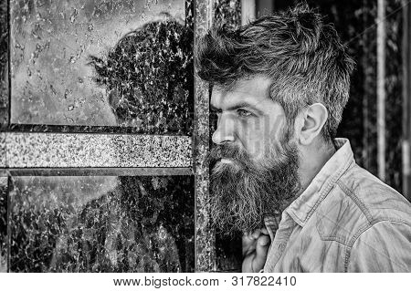 Beard Grooming. Beard Care. Masculinity And Manliness. Man Attractive Bearded Hipster Posing Outdoor