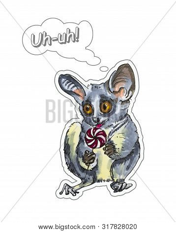 Funny Animal Galago Stickers On A White Background. Hand Painted Illustration