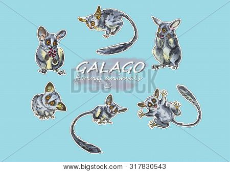 Funny Animal Galago Stickers On A Blue Background. Hand Painted Illustration