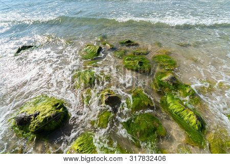 Sea Tidal Bore. Waves Break On Stones Overgrown By Moss And Algae. Beautiful Seascape.