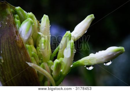 Crescita macro