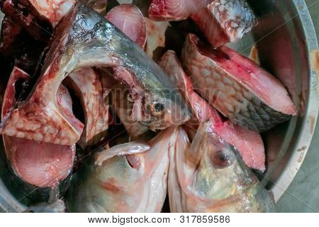 Hilsa Fish Being Cut For Cooking