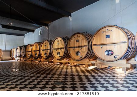 France Lyon 2019-06-21 Giant Wooden Barrels, Aging, Fermentation, Store In Modern Brocard Wine Cella