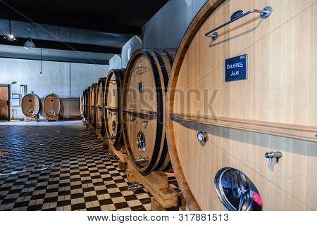 France Lyon 2019-06-21 Giant Wooden Barrels, Aging, Fermentation, Store In Modern Brocard Wine Cella