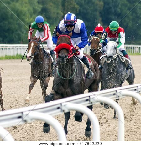 Pyatigorsk,russia - August 18.2019: Horse Race For The Prize Of The 