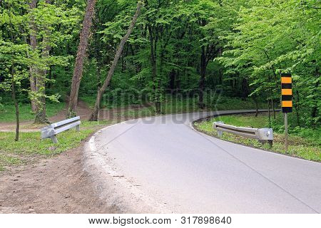 Curved Rular Road In Green Conifer Forest