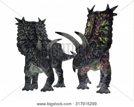 Pentaceratops Male And Female Dinosaurs 3d Illustration - Pentaceratops Was A Herbivorous Ceratopsia