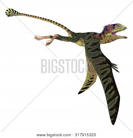 Peteinosaurus Reptile Wings Down 3d Illustration - Peteinosaurus Was A Carnivorous Flying Pterosaur 