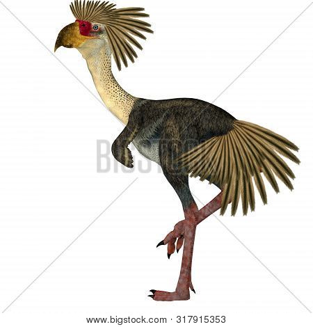 Phorusrhacos Bird Tail 3d Illustration - Phorusrhacos Was A Flightless Carnivorous Terror Bird Of Pr