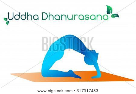 Stylish Modern Complex Posture For Yoga Jddha Dhanurasana. Yoga, Sports, Meditation, Breathing. Yoga