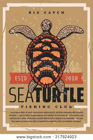 Turtle Fishing, Fisher Big Catch Trophy Vintage Grunge Poster. Vector Seafood Fishing Club, Wild Oce