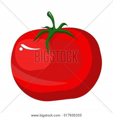 Deliciou Red Tomatoe  Proper Nutrition, Healthy Food, Diet. Vegetables Fruits. Modern Vector Flat Im