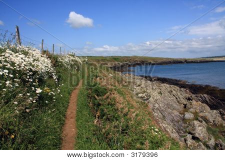 Anglesey Coastal Path