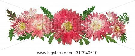 Bouquet Of Dried Pressed Flowers Isolated On White Background. For Use In Floristics, Scrapbooking A