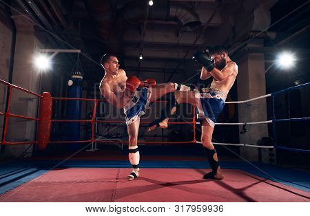 Two Adult Sportsmen Kickboxers Exercising Kickboxing In The Ring At The Sport Club