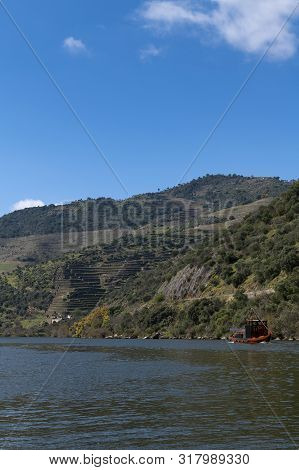 Scenic View Of The Douro River With A Traditional Rabelo Boat And Terraced Vineyards Near The Tua Vi