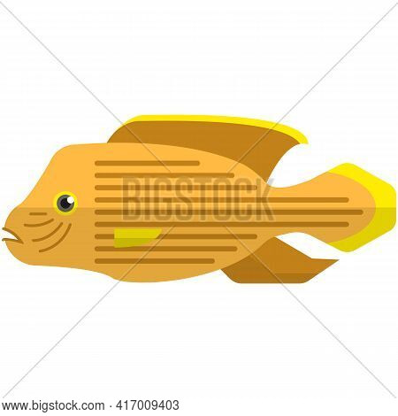 Vector Acara Aquarium Fish Species Illustration On White
