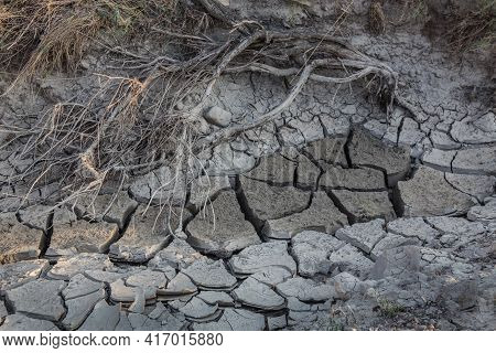 Dried Up Riverbed With Cracked Clayey Bottom And Dry Branches