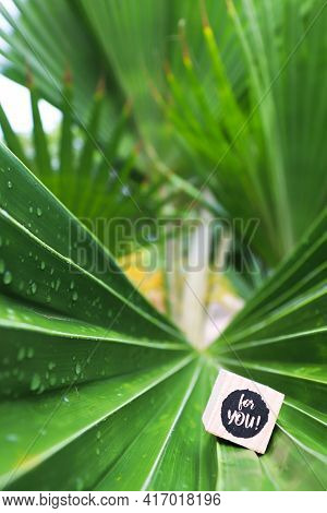 Palm Leaf With Rain Drops And Wooden Cube With Words For You On It.